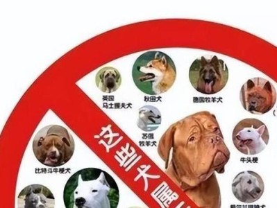 新手养宠注意啦（解析养狗初期的困难与挑战，助你成为合格的狗主人）