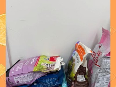 幼猫没有猫粮吃怎么办？（细心照料和健康替代品）