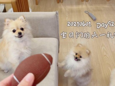 如何给博美狗选择适合的奶类饮品？（了解博美狗适宜的奶类饮品及喂养注意事项）