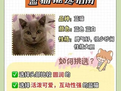 买猫避坑指南（以买猫为主题的合理价格和相关信息解析，避免被坑害）