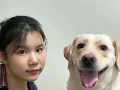 狗狗皮肤的主要颜色是什么？（探索不同狗狗的皮肤颜色和特征）