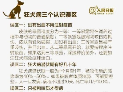 狗狗的疫苗接种（保护宠物健康，从疫苗接种开始）