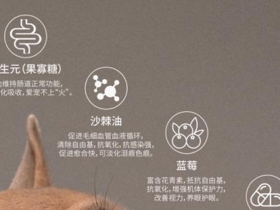 狗狗激素高的原因及解决方法（探究狗狗激素高的主要原因以及有效应对措施）
