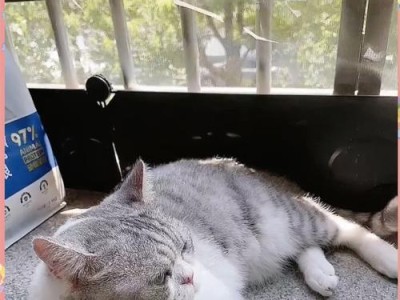 猫吃了猫粮什么都不吃？（探究猫咪挑食背后的原因和解决方法）