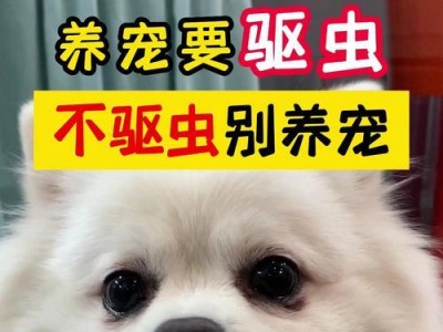 狗的驱虫表现及预防措施（了解你的宠物犬的驱虫需求，保持它们的健康和幸福）