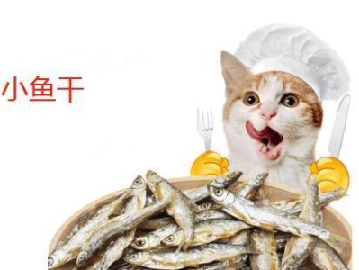 猫的饮食演变及食谱变迁（探寻猫在不同历史时期的饮食习惯与变化）