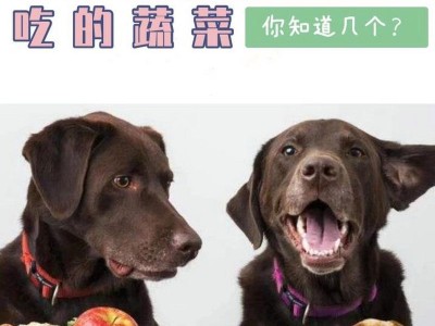狗狗为什么啥都吃？（探究狗狗食欲背后的原因）