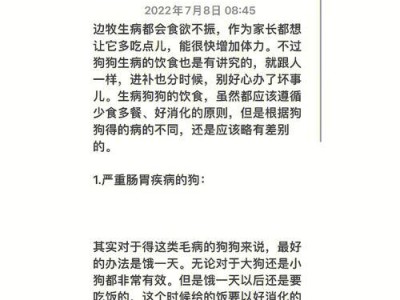 养边牧需要注意的事项（边牧喂养的关键要素及注意事项）