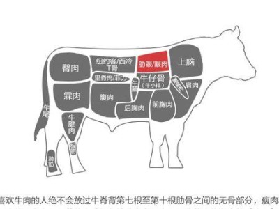 如何科学饲养牛头獒（牛头獒的饲养方法与技巧）