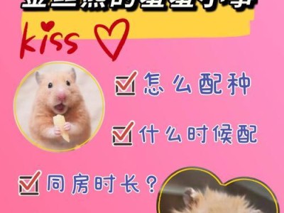 泰迪狗的配种时机及相关注意事项