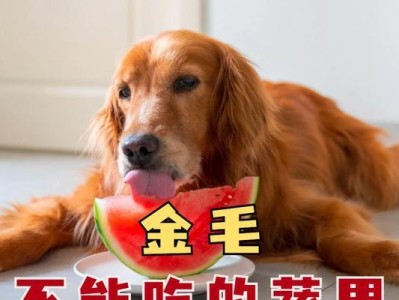 小狗的饮食需求（刚生出来的小狗该如何喂养）