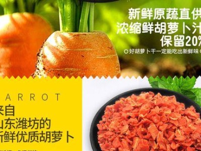 河南猪宠物的饮食要求及喂养指南（了解河南猪宠物的饮食习惯，给它们提供合适的营养和食物）