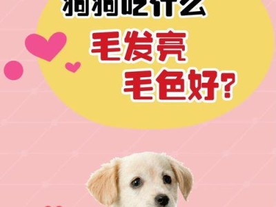 如何让狗狗快速退毛？（探索狗狗退毛的关键饮食和护理方法）