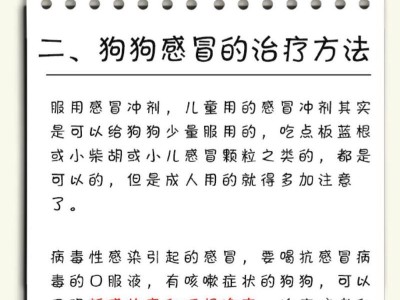 狗狗感冒的症状及治疗药物（了解狗狗感冒的表现和正确的治疗方法）