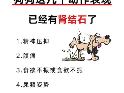 狗狗肾结石治疗费用及预防方法（探究狗狗肾结石的治疗费用，提供有效预防方法）