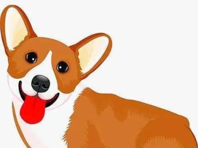 如何防治大丹犬夏季皮肤瘙痒（给宠物舒适的夏季护理）