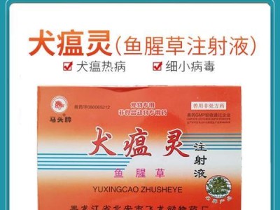 狗狗发烧的处理方法（如何让宠物在疾病中得到最好的照顾）