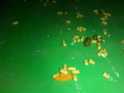 兔子拉稀的原因和处理方法（了解兔子拉稀的症状、原因和有效的处理方法）