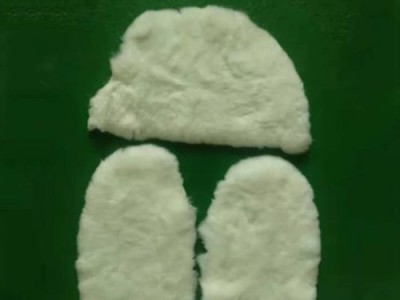如何饲养健康快乐的雷克斯兔？（掌握关键技巧，让宠物成为你家庭的一员）