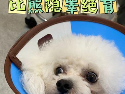 公狗节育的重要性及正确饮食安排（保健无忧，饮食管理是关键）