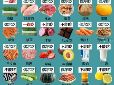 如何应对猫咪不吃不喝的情况（让猫咪重新恢复食欲与饮水习惯的方法）
