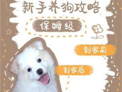 如何训练刚到家的狗狗（让宠物成为你的好伙伴）