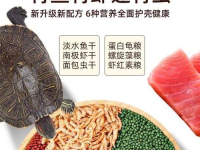 如何科学饲养中华龟（全面了解中华龟的饲养技巧，让你的宠物更健康快乐）