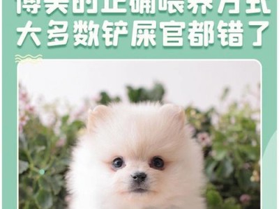 以博美幼犬要以狗粮为主！（按照体重标准、体质和狗粮确定饮食）