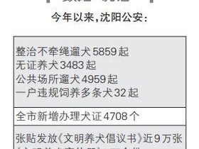 城市禁养犬种概述（哪些狗狗在禁养名单之外）