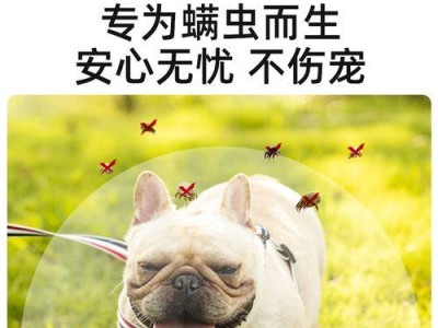 缓解狗身上痒症的口服药物推荐（选择适合的药物是解决狗痒问题的关键）