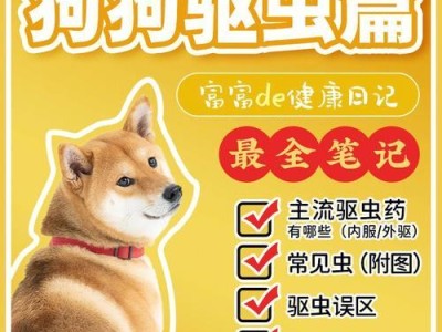合适的时间吃蛔虫药（如何确定最佳用药时机）