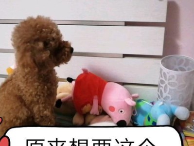 揭秘泰迪哼唧的真实含义（探究泰迪哼唧行为背后的意义与情感）
