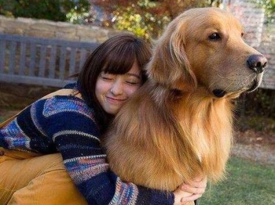 陌生的狗狗为何如此喜欢我？（揭秘背后的原因与心理机制）