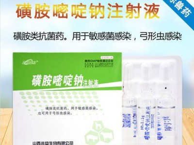 以狗预防脑炎的重要性（狗脑炎预防针的关键作用及注射时间安排）