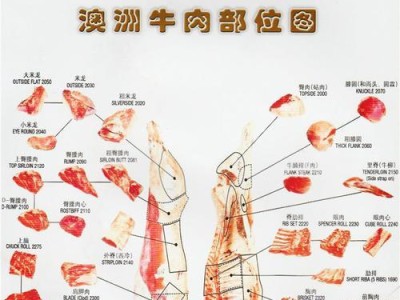 牛头獒饲养指南（从幼犬到成年犬，让你掌握养獒技巧）