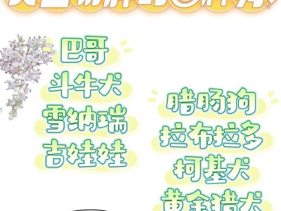 牛头犬的饲养方法详解