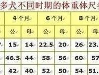拉布拉多犬的正常体重与瘦身方法（了解拉布拉多犬的理想体重，帮助它恢复健康）