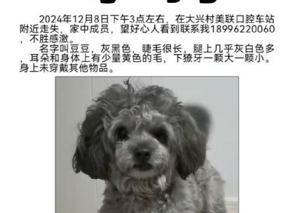 神秘黑耳朵的狗狗（揭开黑耳朵狗狗的身份之谜）
