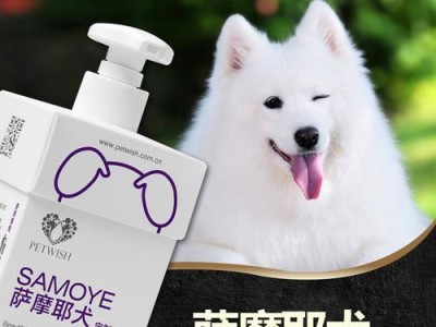 以萨莫耶狗洗澡用什么？（全面了解以萨莫耶狗洗澡所需用品及方法）