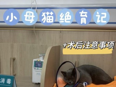 猫咪绝育手术费用和如何避免被坑（绝育手术费用多少钱？如何选择可信赖的医生？）