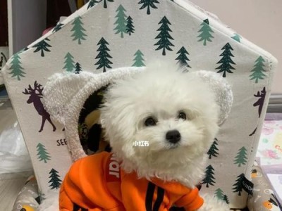 两个月比熊犬的饮食量剖析（以狗粮为主的宠物饮食方式，如何给予适当的饮食调整）