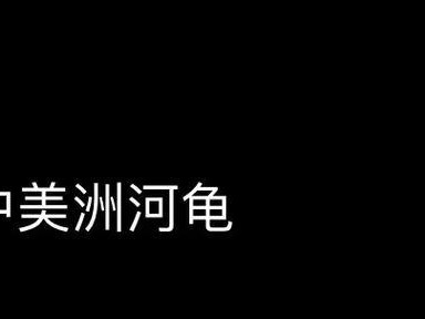 如何饲养中美洲河龟（宠物爱好者必看，掌握这些关键诀窍）