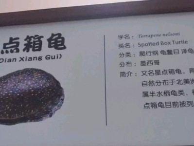 西部箱龟的饲养方法（详细介绍如何饲养西部箱龟，让它们健康快乐地成长）