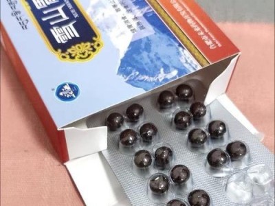 小狗健胃药（了解小狗健胃药的种类及使用方法，让你的宠物更加健康）