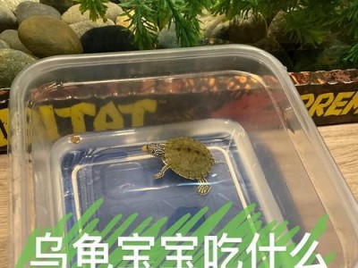 小乌龟肠道清洁的关键—肠虫清（探究小乌龟肠道健康的秘密）