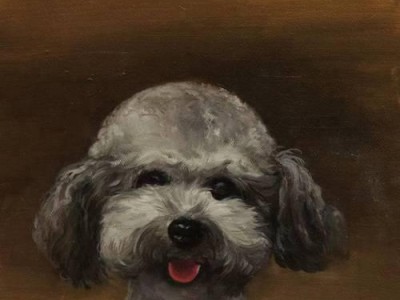 如何有效训练可蒙犬（掌握关键技巧，打造听话可爱的宠物）