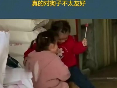 哪些狗狗不适合有小孩的家庭养？（小心选择，安全关乎孩子健康）