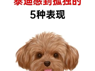 揭秘狗狗年龄的四种判断方法（快来看看你家狗狗今年多少岁了！）