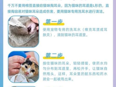 猫咪为什么容易感染螨虫？（猫螨虫感染原因及预防措施）