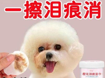 狗狗眼部清洁护理，让你的宠物眼睛更健康（详细介绍狗狗眼部清洁护理的方法和注意事项）